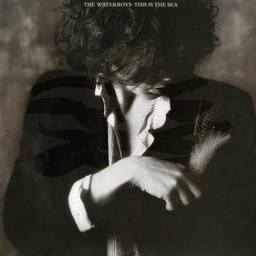 The Waterboys: This Is the Sea [ Record ]