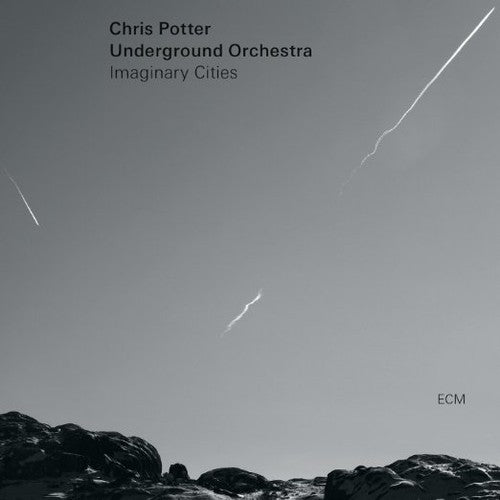 Chris Underground Orchestra Potter: Chris Potter Orchestra [ Record ]