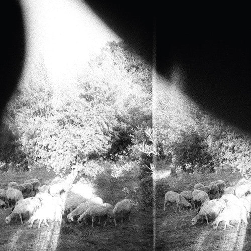 Godspeed You! Black Emperor: Asunder Sweet & Other Distress [ Record ]