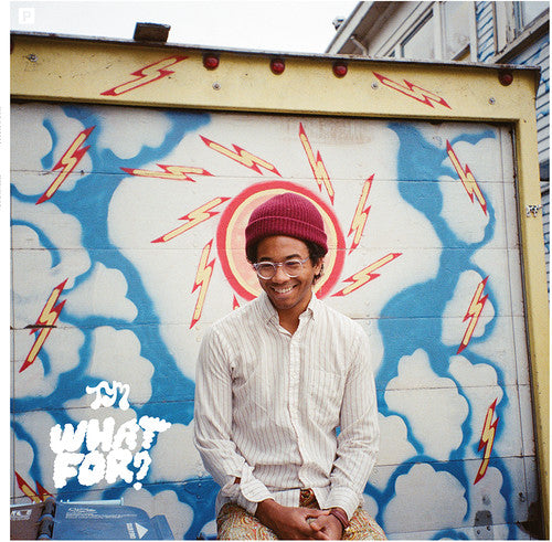 Toro y Moi: What for [ Record ]