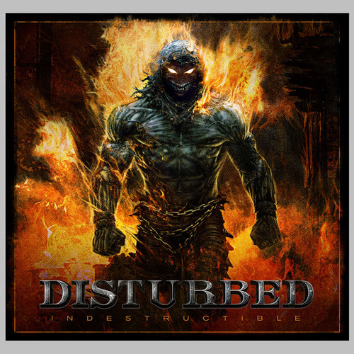 Disturbed: Indestructible [ Record ]