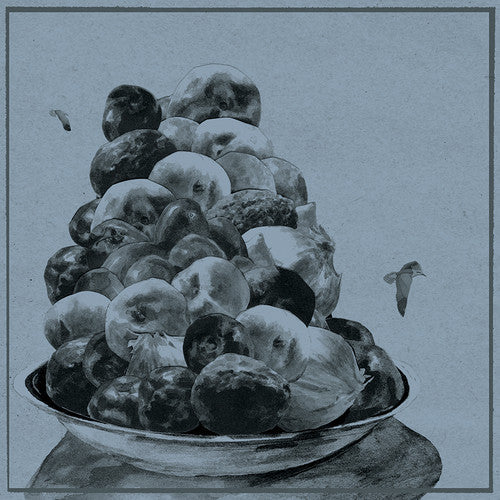 Hop Along: Painted Shut [ Record ]