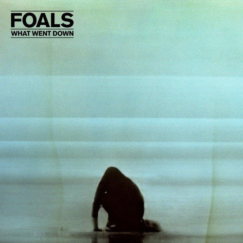 Foals: What Went Down [ Record ]