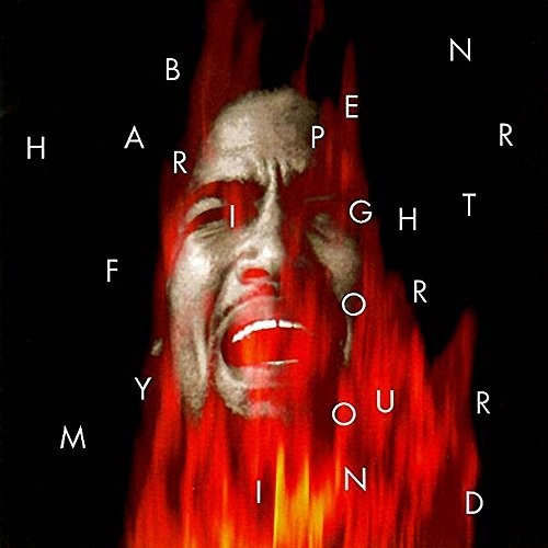 Ben Harper: Fight for Your Mind [ Record ]