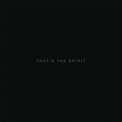 Bring Me the Horizon: That's The Spirit [ Record ]