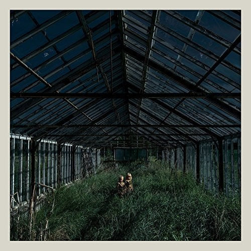 Foxing: Dealer [ Record ]