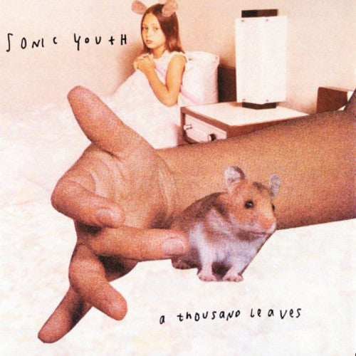 Sonic Youth: A Thousand Leaves [ Record ]