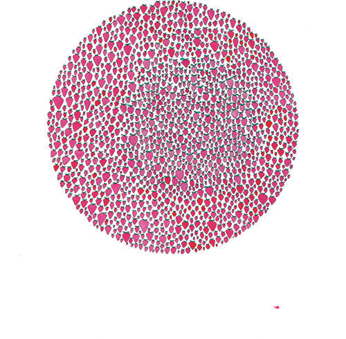 Julia Brown: An Abundance of Strawberries [ Record ]