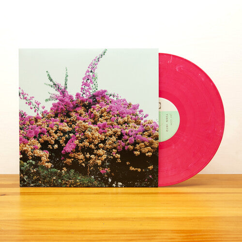 Jay Som: Turn Into [ Record ]