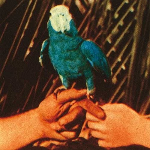 Andrew Bird: Are You Serious [ Record ]