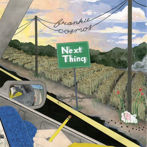 Frankie Cosmos: Next Thing [ Record ]