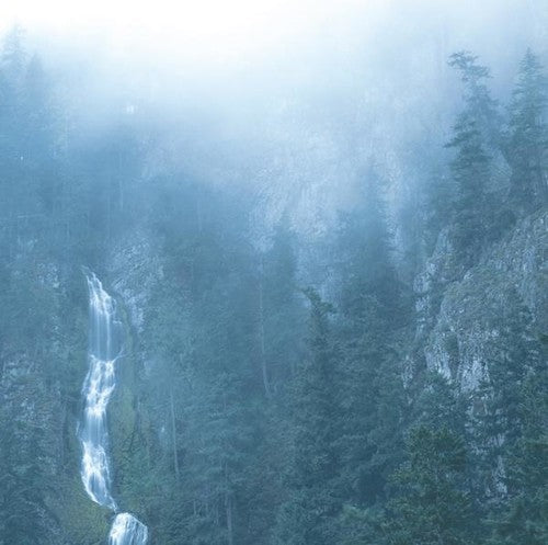 Wolves in the Throne Room: Diadem Of 12 Stars [ Record ]