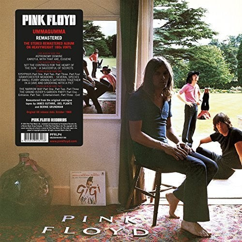 Pink Floyd: Ummagumma [ Record ]