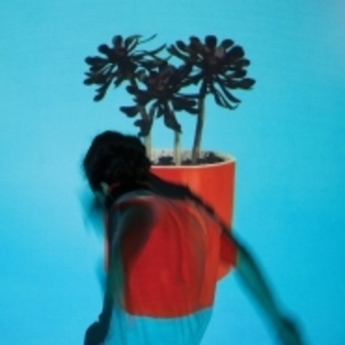 Local Natives: Sunlit Youth [ Record ]