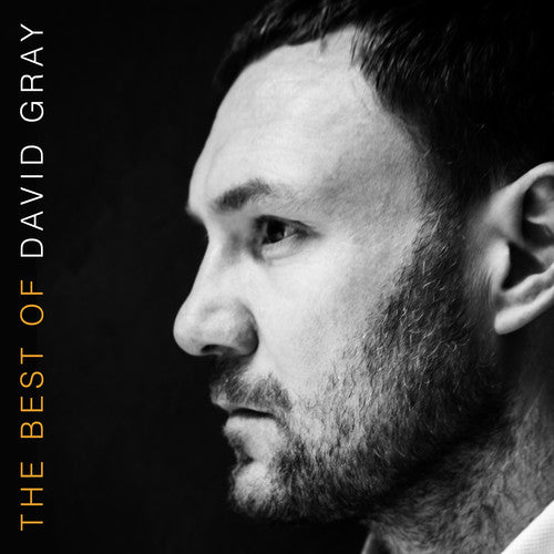 David Gray: The Best Of David Gray [ Record ]