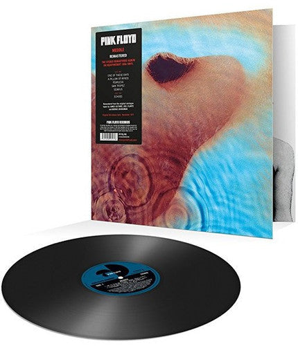 Pink Floyd: Meddle [ Record ]