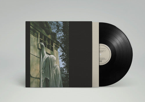 Dead Can Dance: Within The Realm Of A Dying Sun [ Record ]