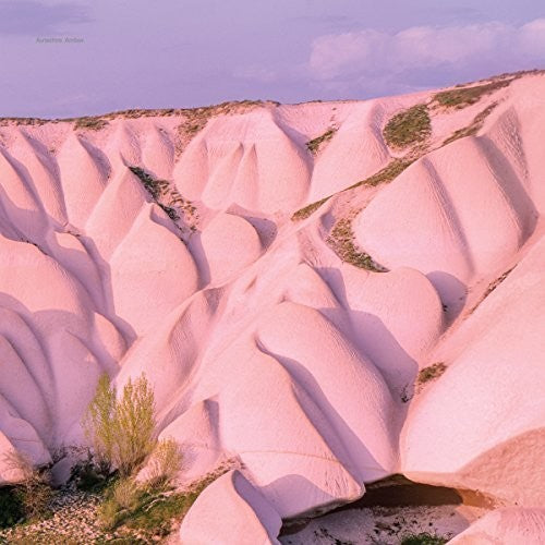 Autechre: Amber [ Record ]