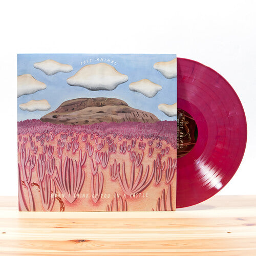 Post Animal: When I Think Of You In A Castle ( [ Record ]