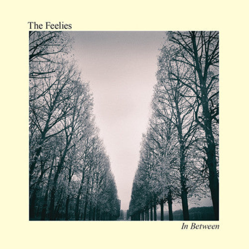The Feelies: In Between [ Record ]