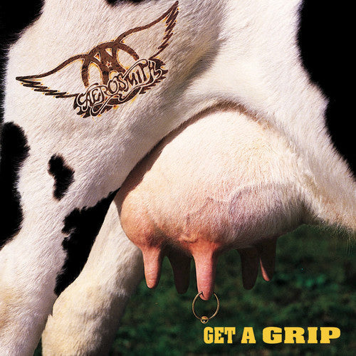 Aerosmith: Get A Grip [ Record ]