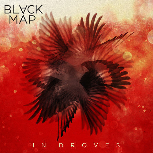 Black Map: In Droves [ Record ]