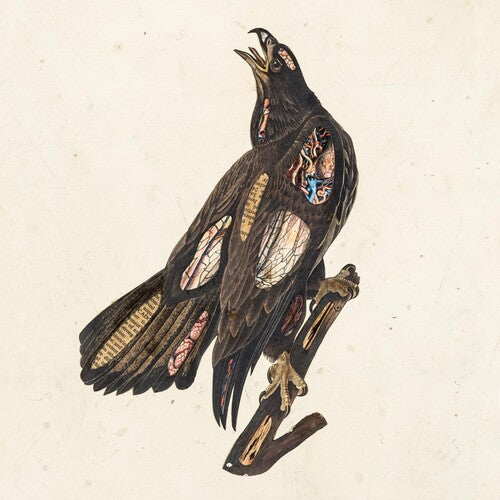 Clutch: Book Of Bad Decisions [ Record ]