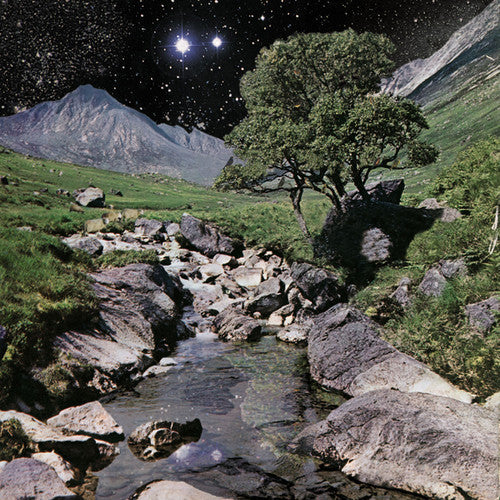 The Beta Band: The Beta Band [ Record ]