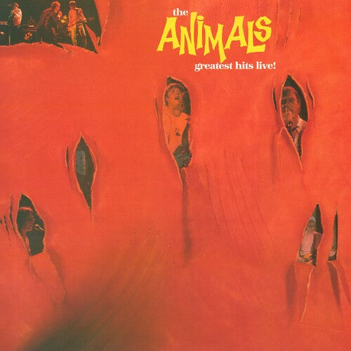 The Animals: Greatest Hits Live [ Record ]