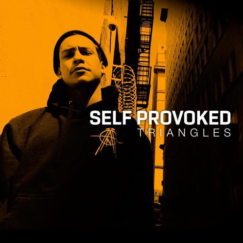 Self Provoked: Triangles [ Record ]