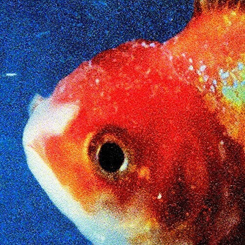 Vince Staples: Big Fish Theory [ Record ]