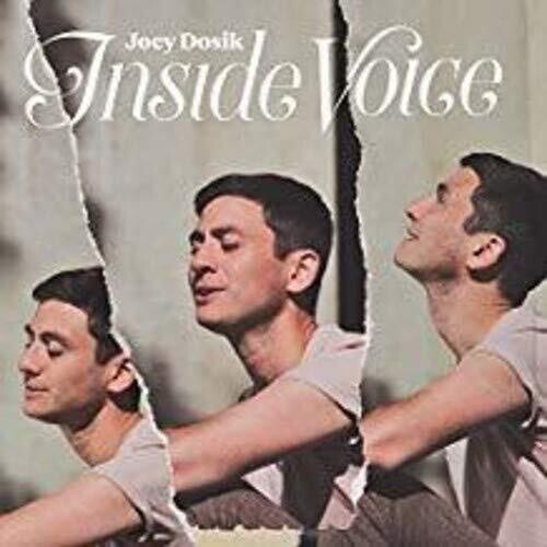 Joey Dosik: INSIDE VOICE [ Record ]