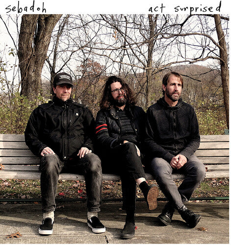 Sebadoh: Act Surprised [ Record ]