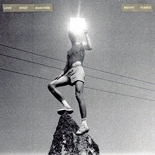 Mount Kimbie: Love What Survives [ Record ]