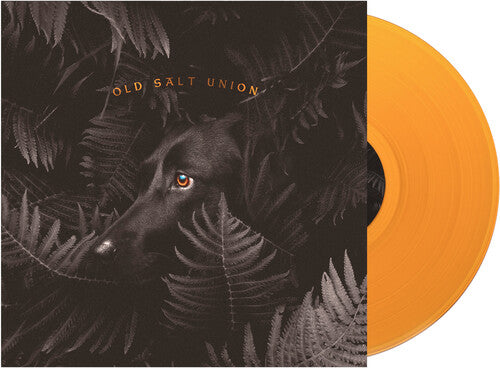 Old Salt Union: Where The Dogs Don't Bite [ Record ]
