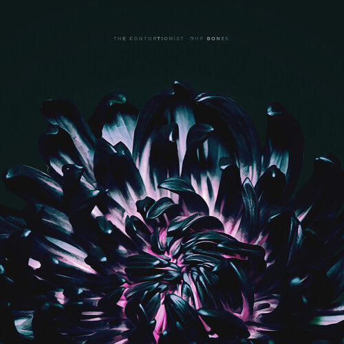 The Contortionist: Our Bones [ Record ]