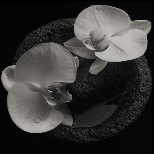 Mike Patton: Corpse Flower [ Record ]