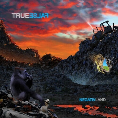 Negativland: True False [ Record ]