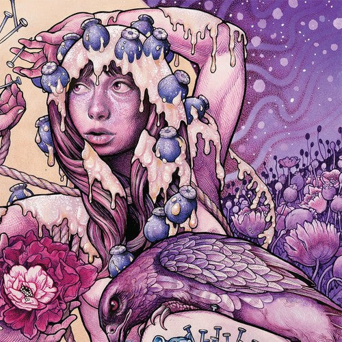 Baroness: Try To Disappear [ Record ]
