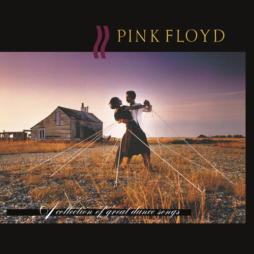 Pink Floyd: A Collection Of Great Dance Songs [ Record ]