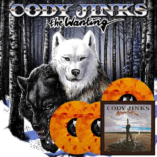 Cody Jinks: Wanting After The Fire [ Record ]