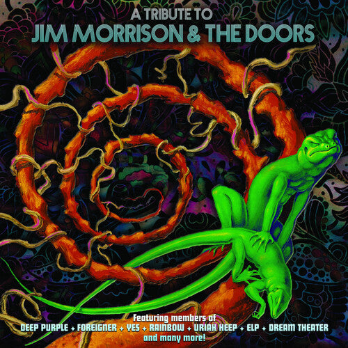 Various Artists: A Tribute To Jim Morrison & The Doors (Various Artists) [ Record ]