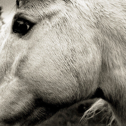 Bonny Light Horseman: Bonny Light Horseman [ Record ]