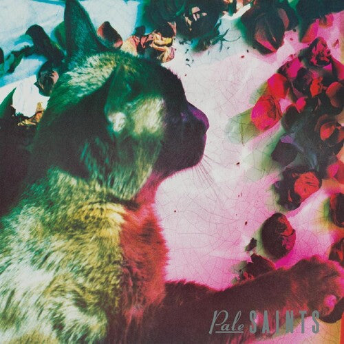 Pale Saints: Comforts Of Madness [ Record ]