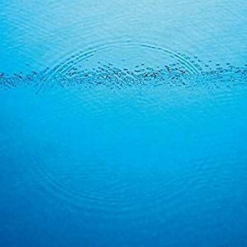 Caribou: Suddenly [ Record ]
