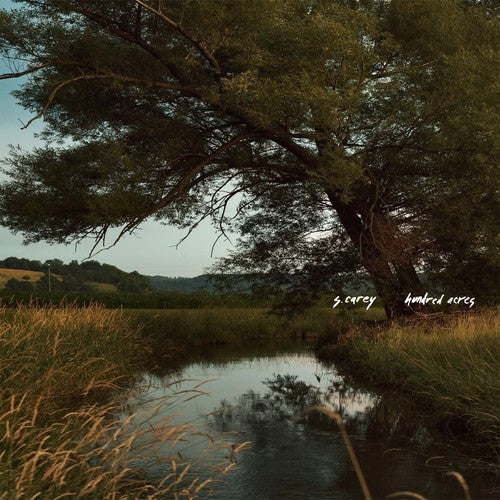 S Carey: Hundred Acres [ Record ]