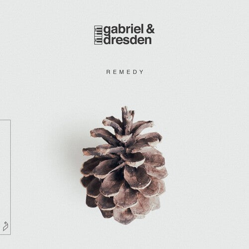Gabriel & Dresden: Remedy [ Record ]