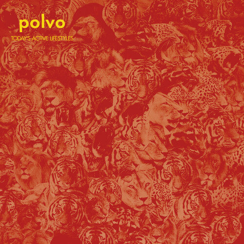 Polvo: Today's Active Lifestyles [ Record ]