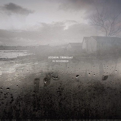 Joshua Trinidad: In November [ Record ]