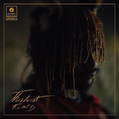 Thundercat: It Is What It Is [ Record ]